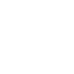 TheseGuys-Website-Logo-STIR